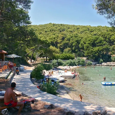 Family Friendly House With A Swimming Pool Skrip, Brac - 15297 * Supetar